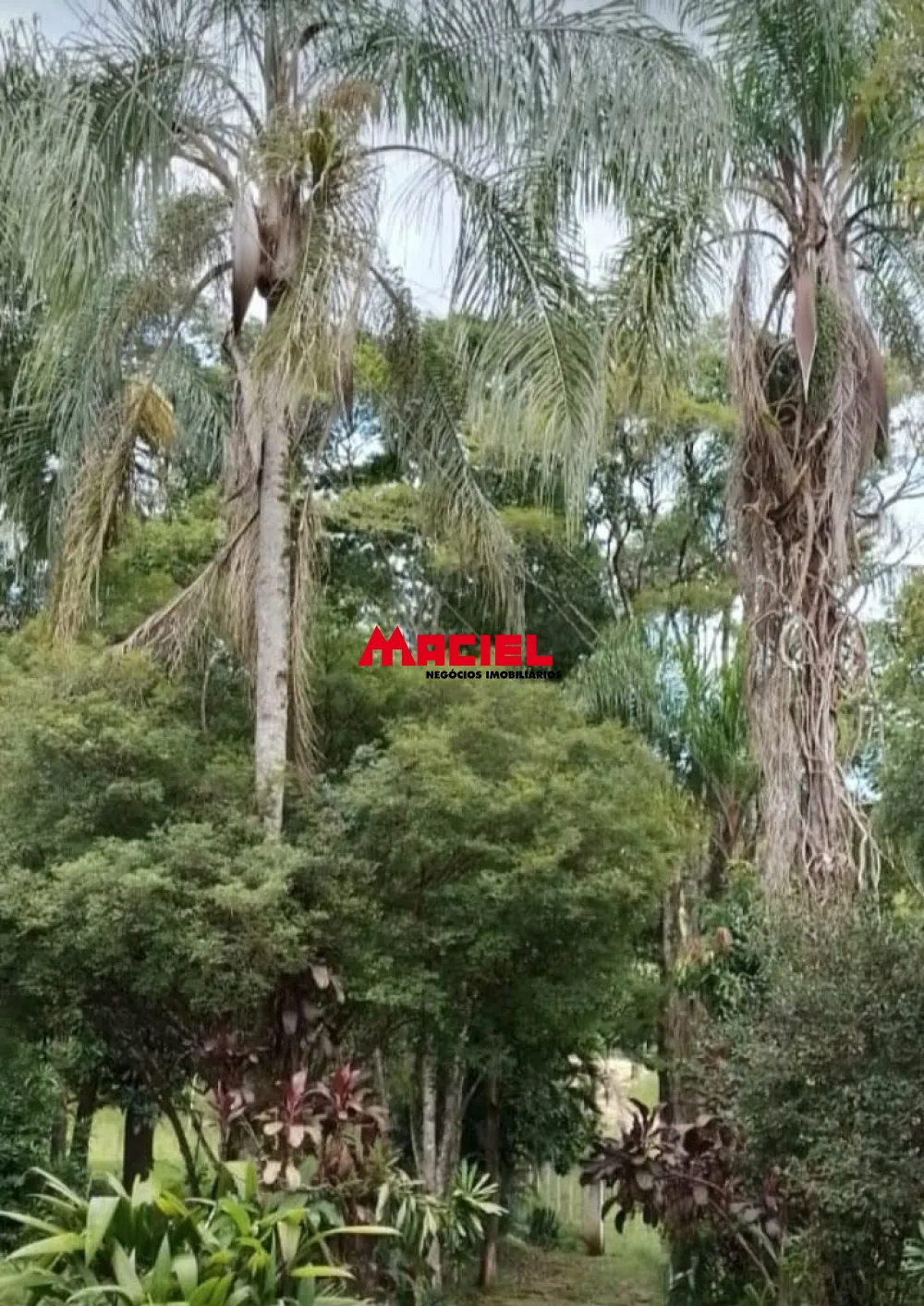 Comprar Rural / Ch&aacute;cara em Ca&ccedil;apava R$ 450.000,00 - Foto 17