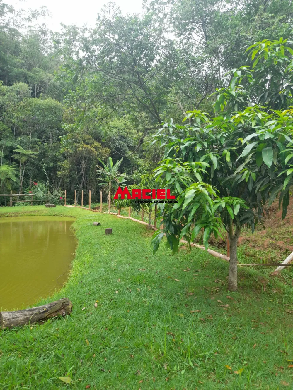 Comprar Rural / Ch&aacute;cara em S&atilde;o Jos&eacute; dos Campos R$ 639.000,00 - Foto 3
