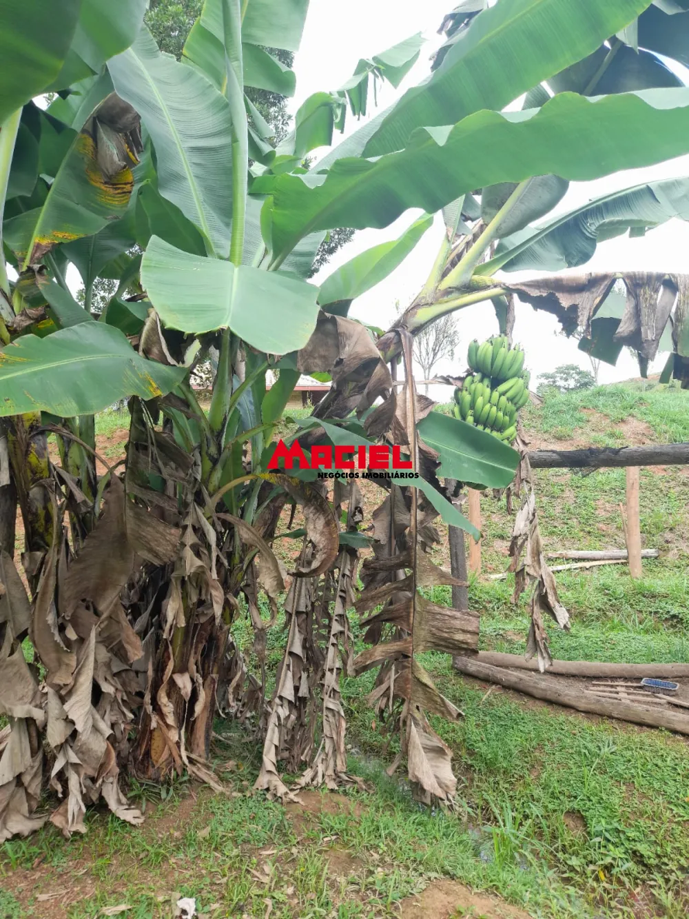 Comprar Rural / Ch&aacute;cara em S&atilde;o Jos&eacute; dos Campos R$ 639.000,00 - Foto 4