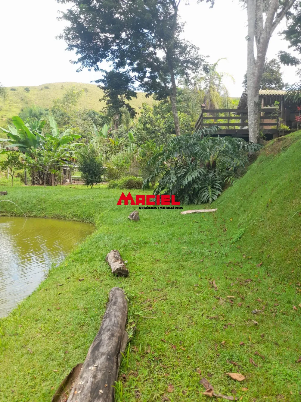 Comprar Rural / Ch&aacute;cara em S&atilde;o Jos&eacute; dos Campos R$ 639.000,00 - Foto 8