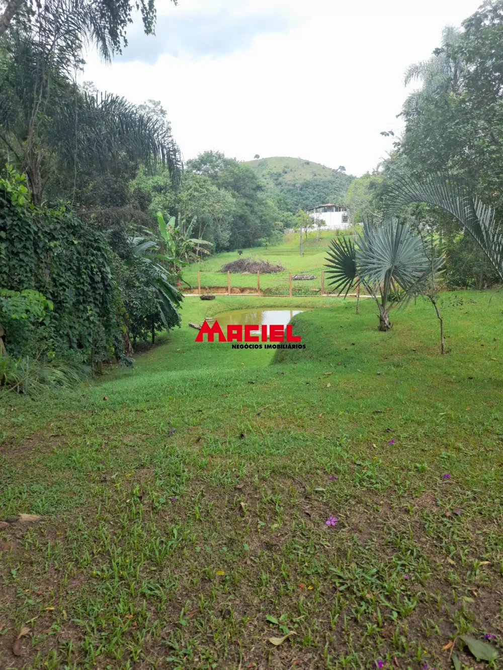 Comprar Rural / Ch&aacute;cara em S&atilde;o Jos&eacute; dos Campos R$ 639.000,00 - Foto 10