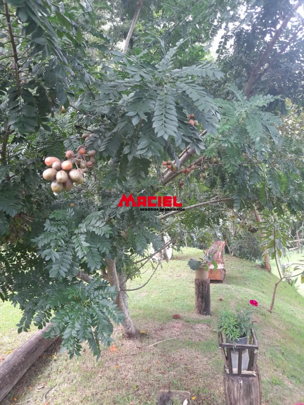 Comprar Rural / Ch&aacute;cara em S&atilde;o Jos&eacute; dos Campos R$ 639.000,00 - Foto 11