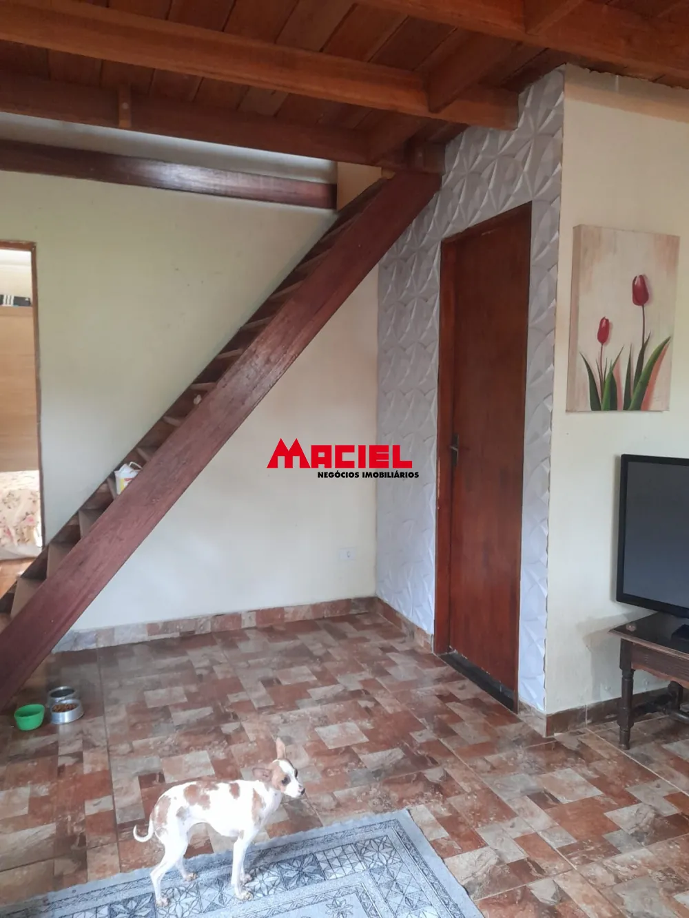 Comprar Rural / Ch&aacute;cara em S&atilde;o Jos&eacute; dos Campos R$ 639.000,00 - Foto 32