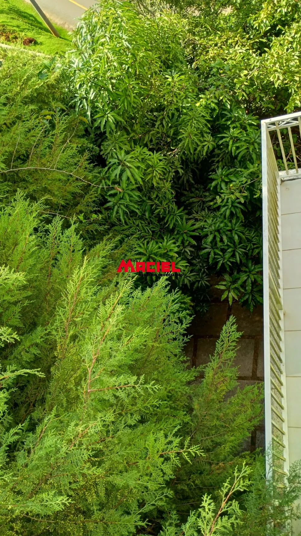 Comprar Rural / Ch&aacute;cara em Santo Ant&ocirc;nio do Pinhal R$ 1.900.000,00 - Foto 59