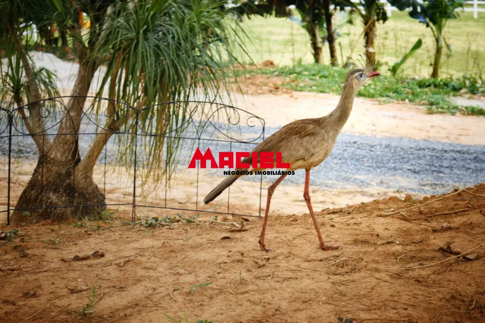 Comprar Terreno / Condom&iacute;nio em S&atilde;o Jos&eacute; dos Campos R$ 499.999,99 - Foto 6