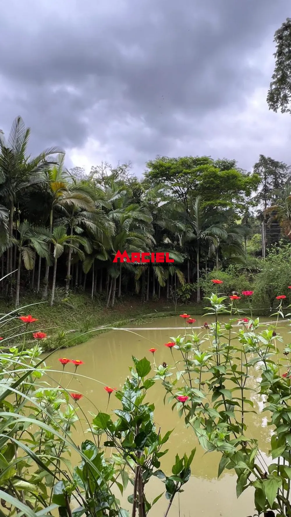 Comprar Rural / Ch&aacute;cara em S&atilde;o Jos&eacute; dos Campos R$ 700.000,00 - Foto 2