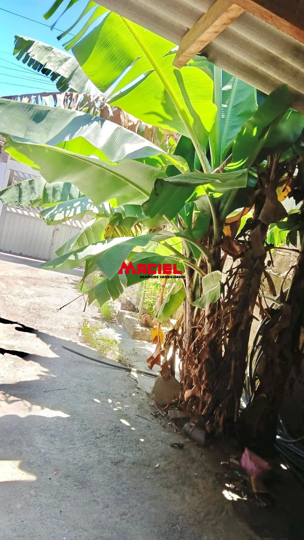 Comprar Casa / Padr&atilde;o em Caraguatatuba R$ 350.000,00 - Foto 11