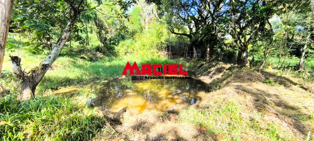 Comprar Rural / Ch&aacute;cara em S&atilde;o Jos&eacute; dos Campos R$ 999.000,00 - Foto 27