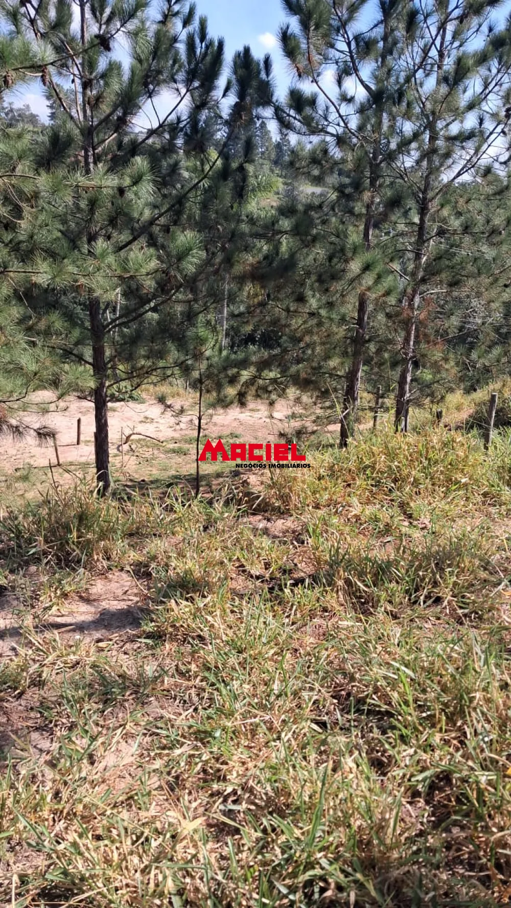 Comprar Terreno / Residencial em Jacare&iacute; R$ 130.000,00 - Foto 3