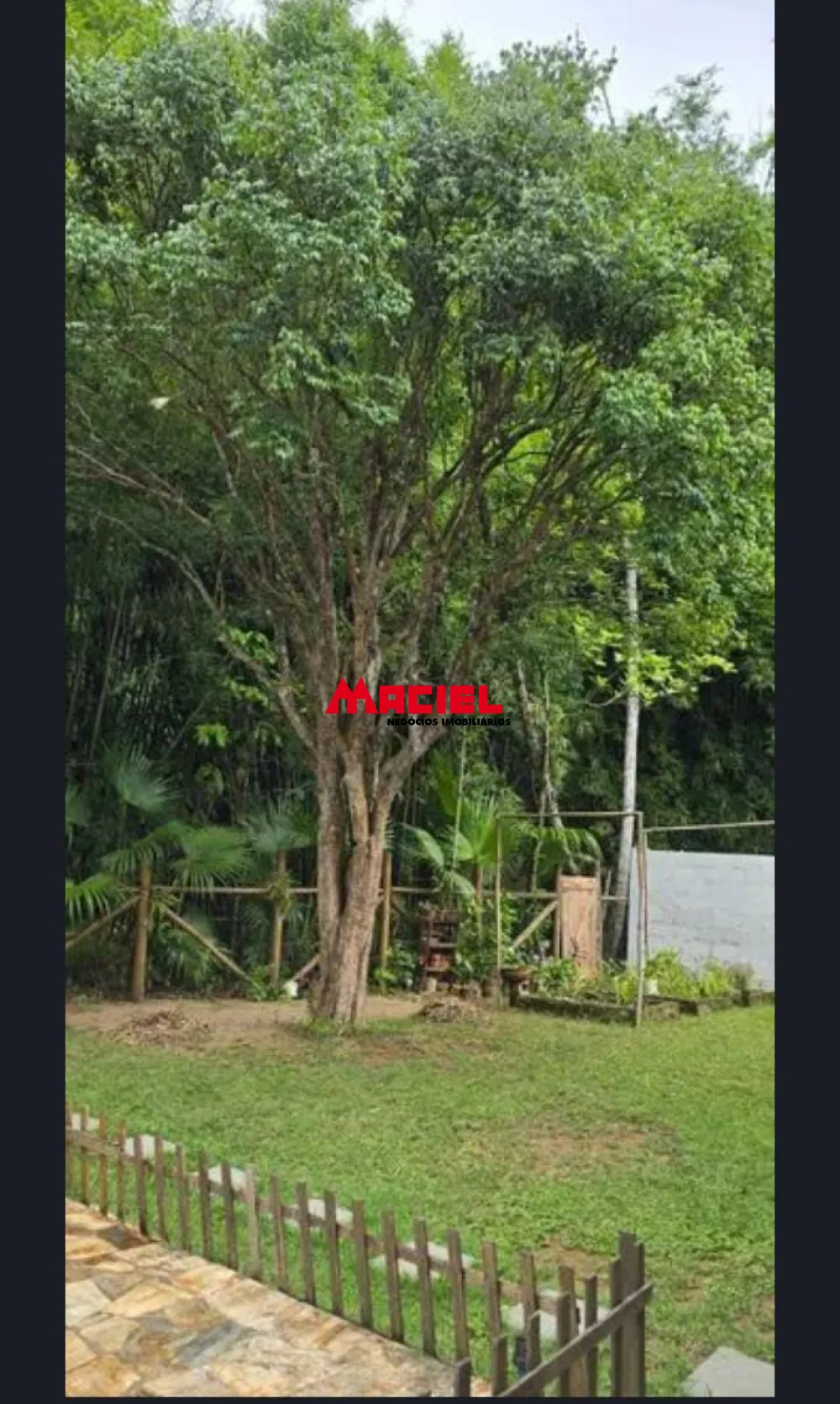 Comprar Rural / Ch&aacute;cara em Monteiro Lobato R$ 600.000,00 - Foto 6