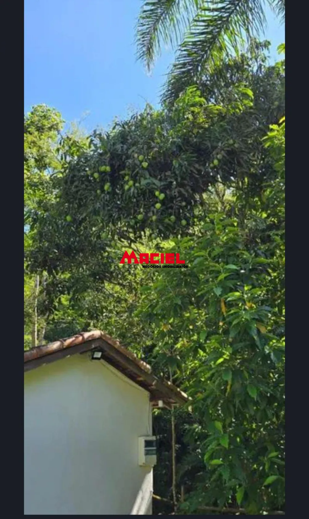 Comprar Rural / Ch&aacute;cara em Monteiro Lobato R$ 600.000,00 - Foto 11