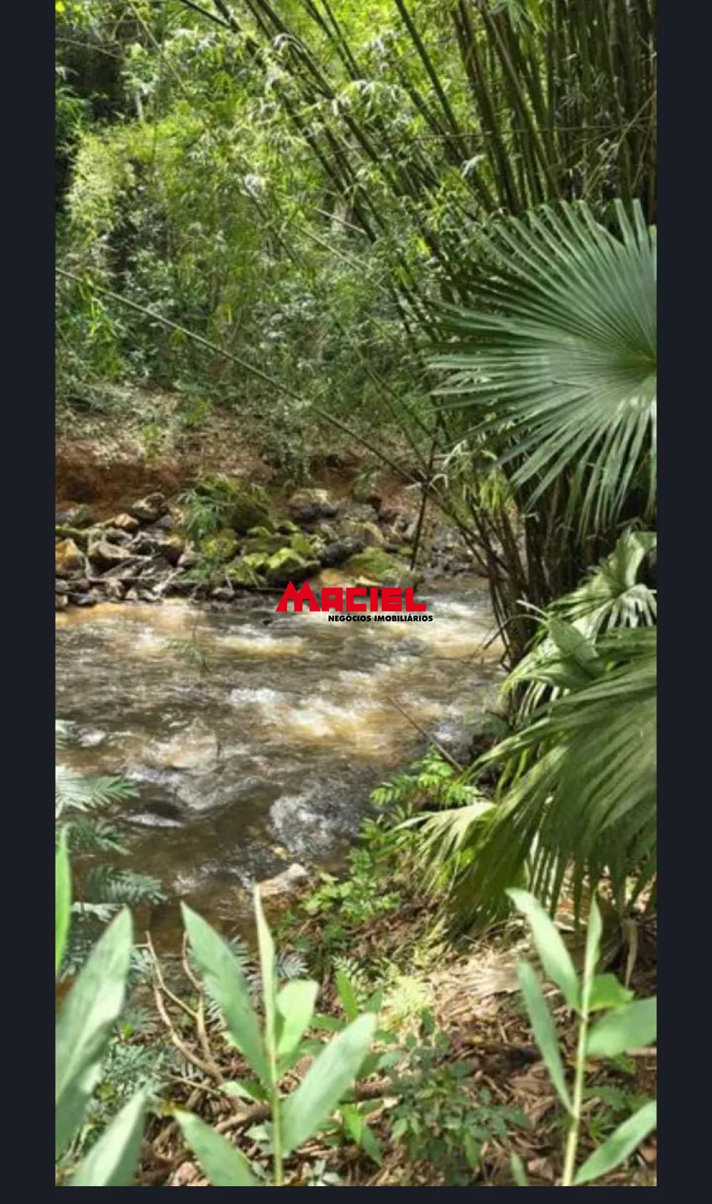 Comprar Rural / Ch&aacute;cara em Monteiro Lobato R$ 600.000,00 - Foto 13