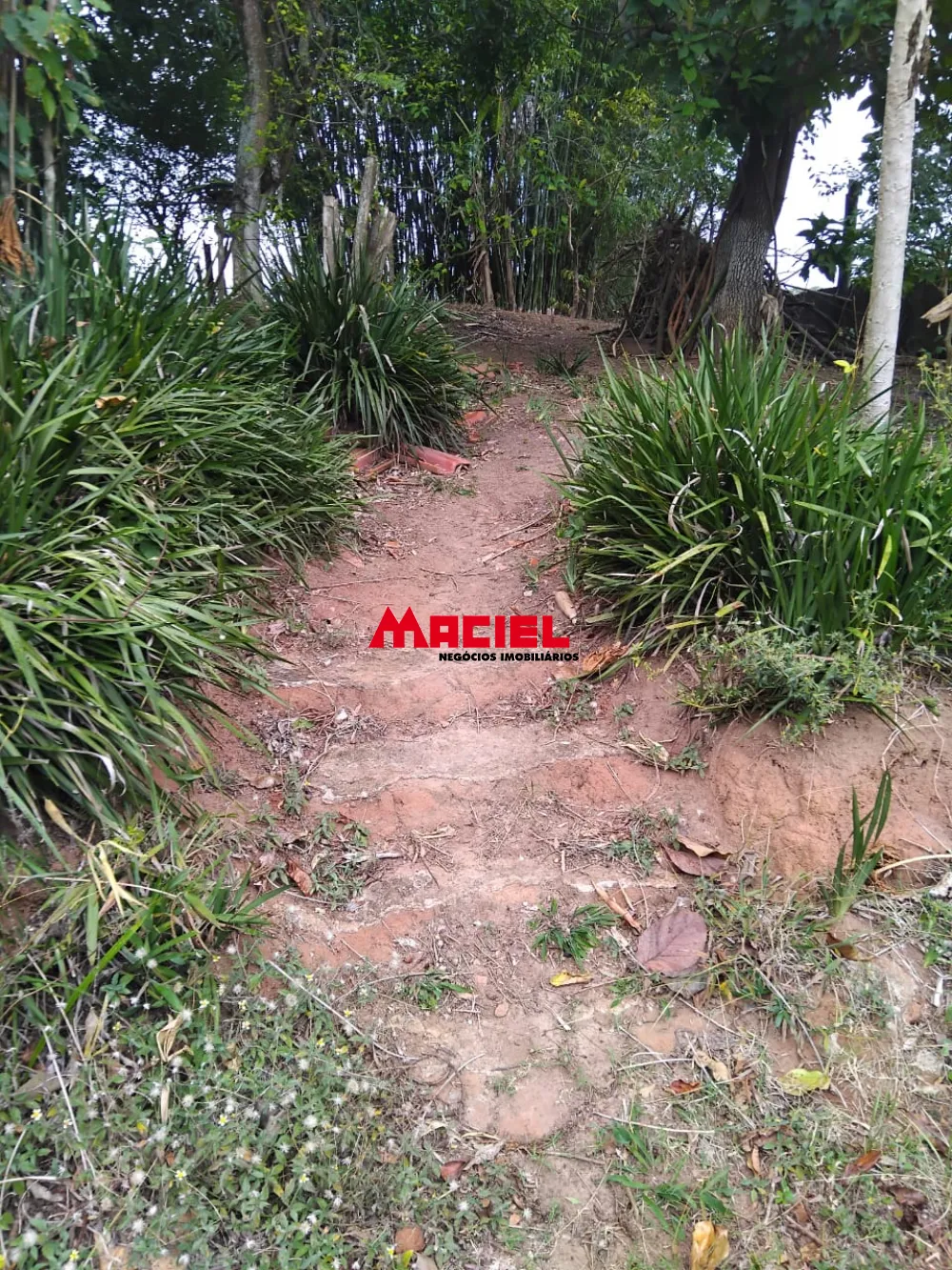 Comprar Rural / Ch&aacute;cara em S&atilde;o Jos&eacute; dos Campos R$ 320.000,00 - Foto 9