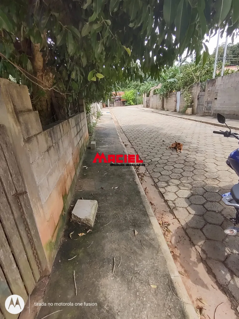 Comprar Terreno / Residencial em Sapuca&iacute;-Mirim R$ 70.000,00 - Foto 2