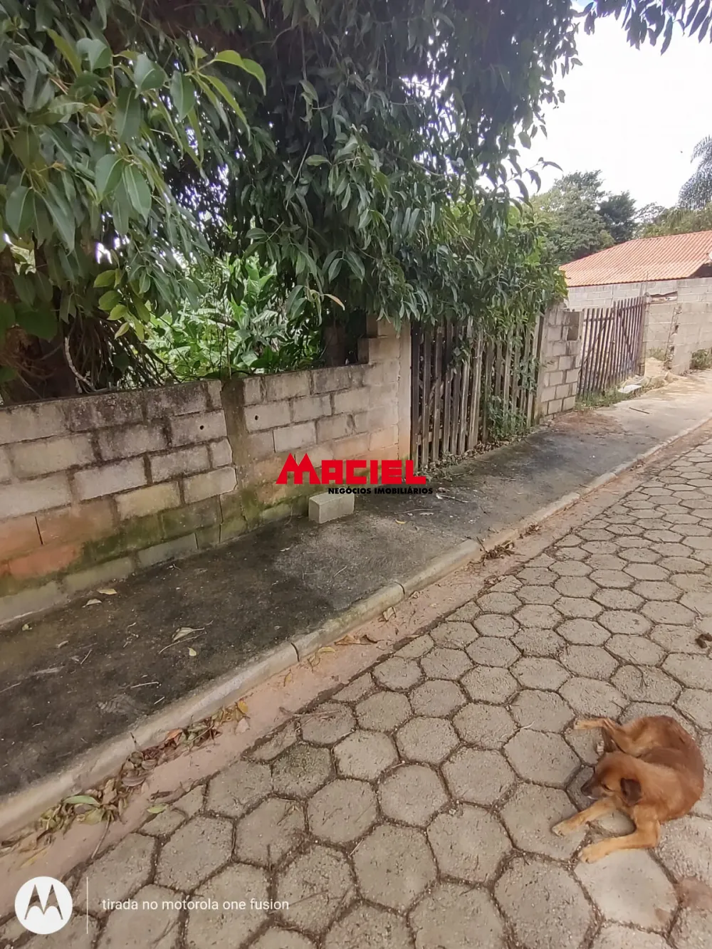 Comprar Terreno / Residencial em Sapuca&iacute;-Mirim R$ 70.000,00 - Foto 4