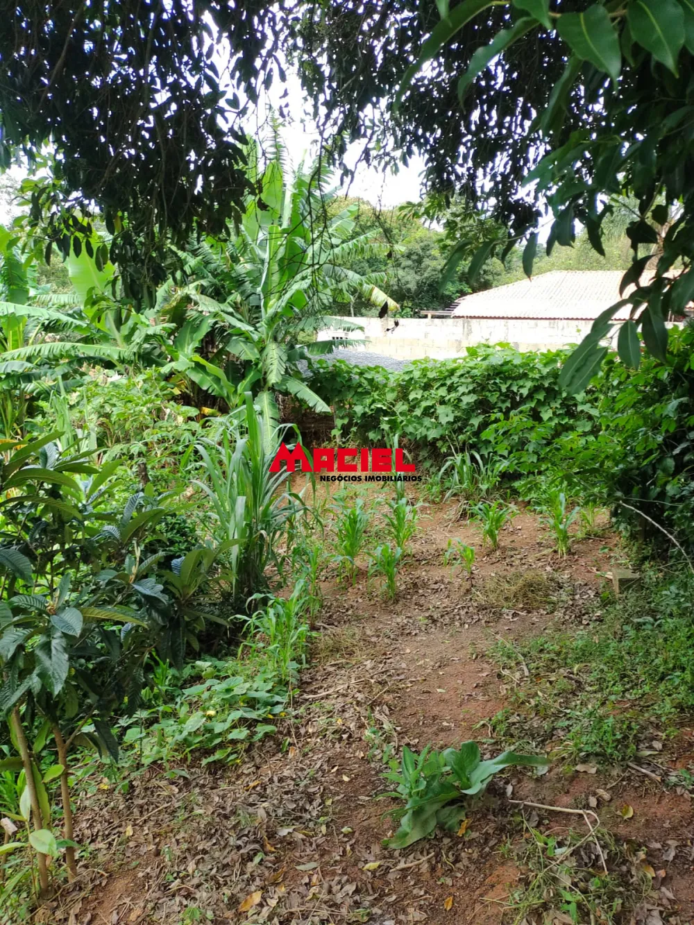 Comprar Terreno / Residencial em Sapuca&iacute;-Mirim R$ 70.000,00 - Foto 5