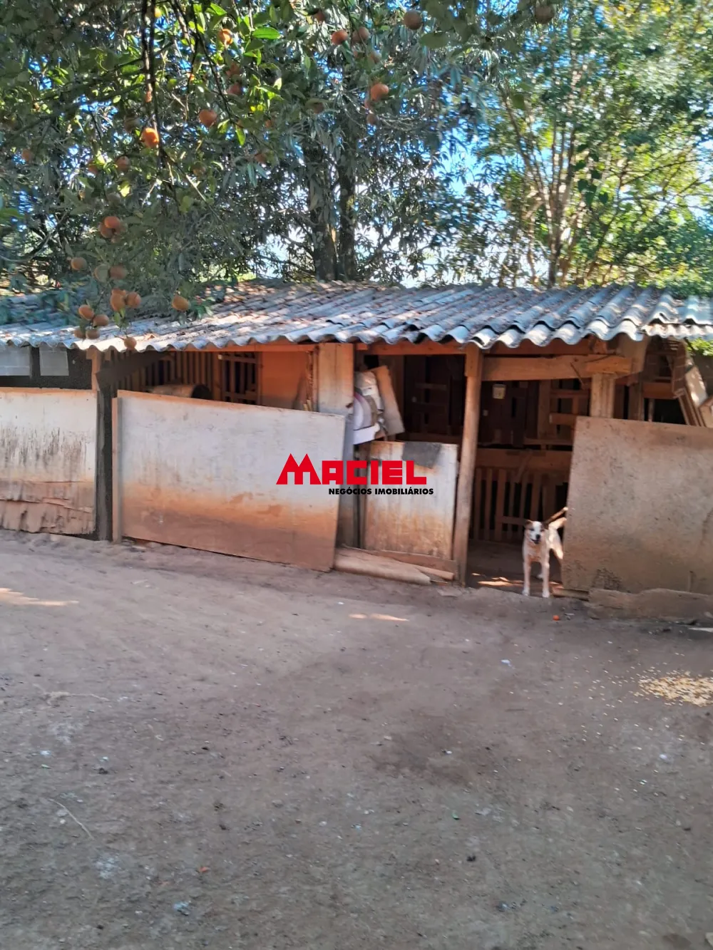 Comprar Rural / Ch&aacute;cara em S&atilde;o Jos&eacute; dos Campos R$ 450.000,00 - Foto 8