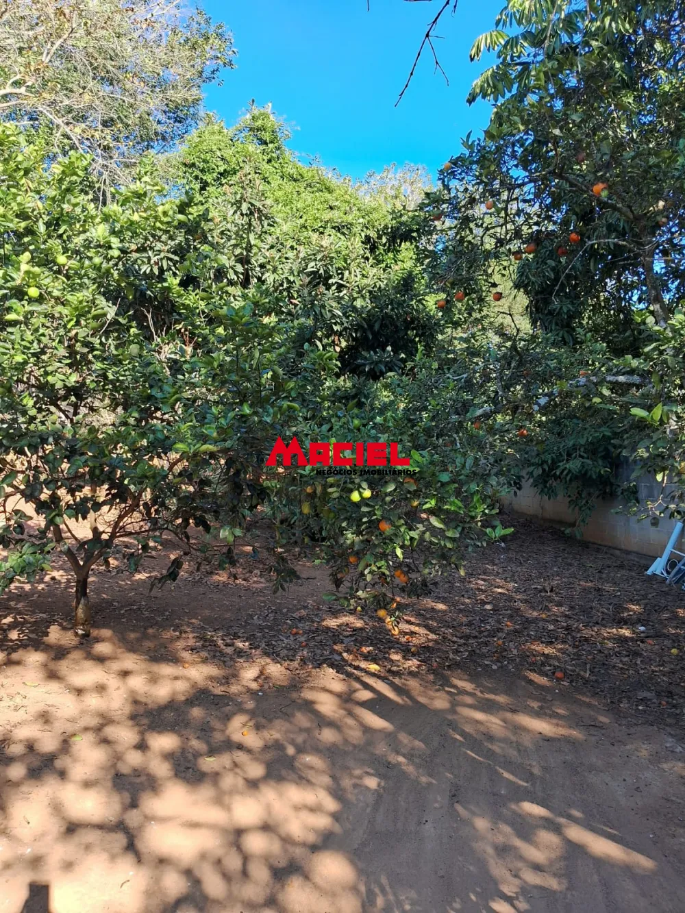 Comprar Rural / Ch&aacute;cara em S&atilde;o Jos&eacute; dos Campos R$ 450.000,00 - Foto 11