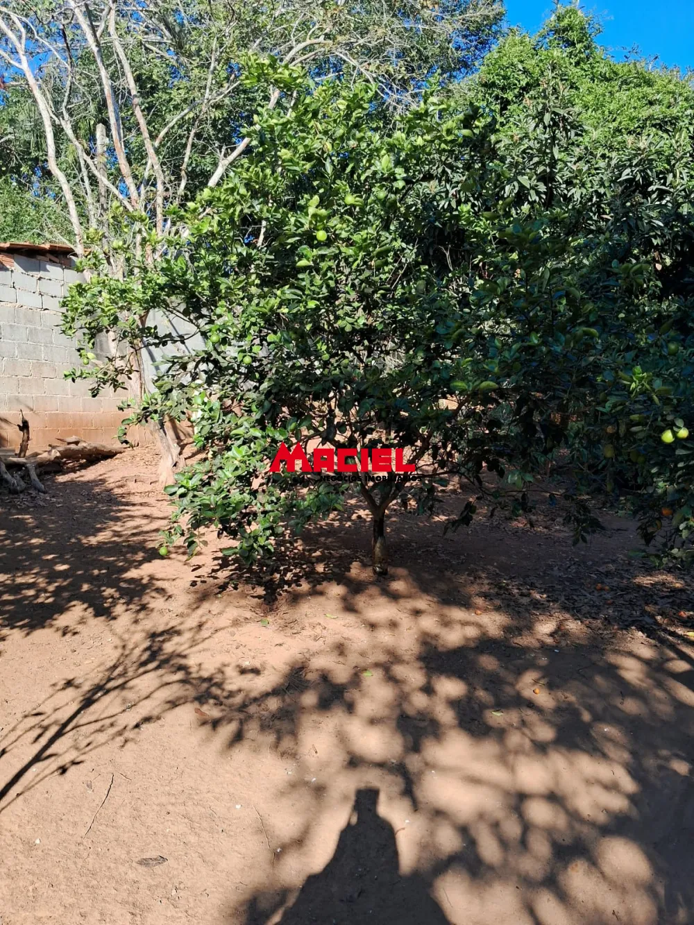 Comprar Rural / Ch&aacute;cara em S&atilde;o Jos&eacute; dos Campos R$ 450.000,00 - Foto 13