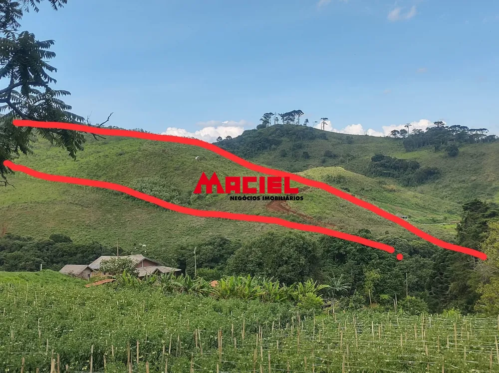 Comprar Terreno / &Aacute;rea em Santo Ant&ocirc;nio do Pinhal R$ 1.100.000,00 - Foto 7