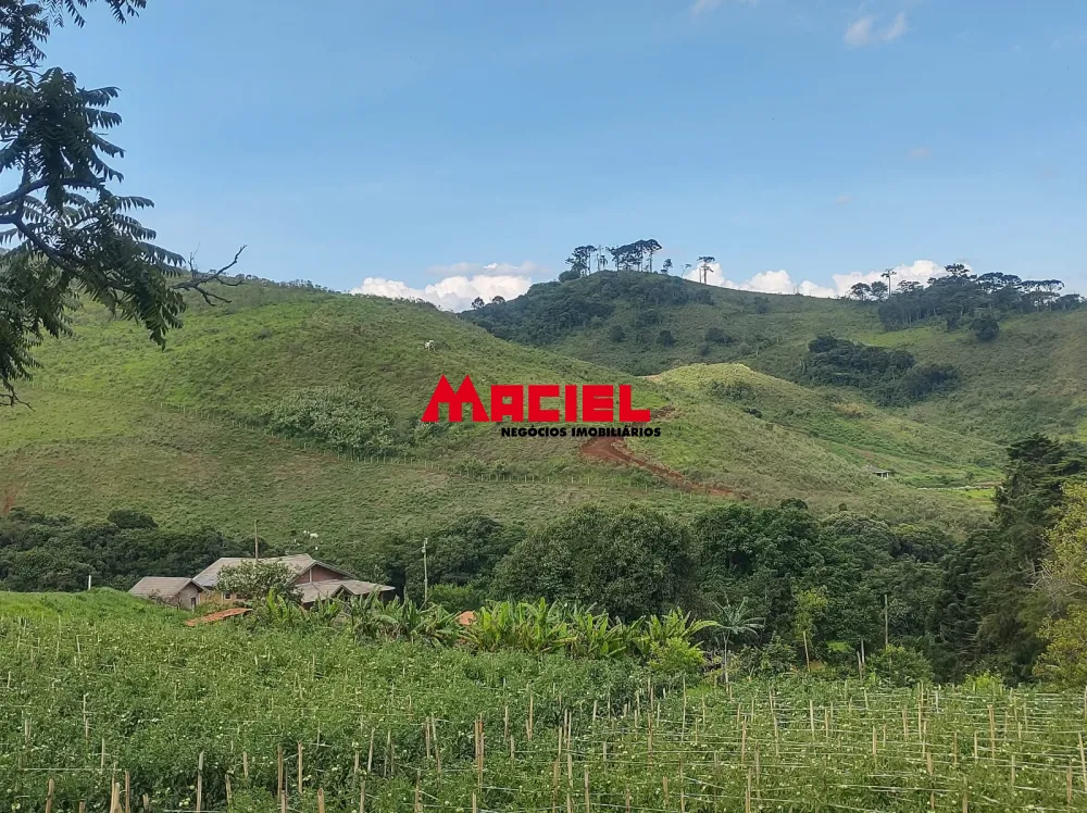 Comprar Terreno / &Aacute;rea em Santo Ant&ocirc;nio do Pinhal R$ 1.100.000,00 - Foto 1