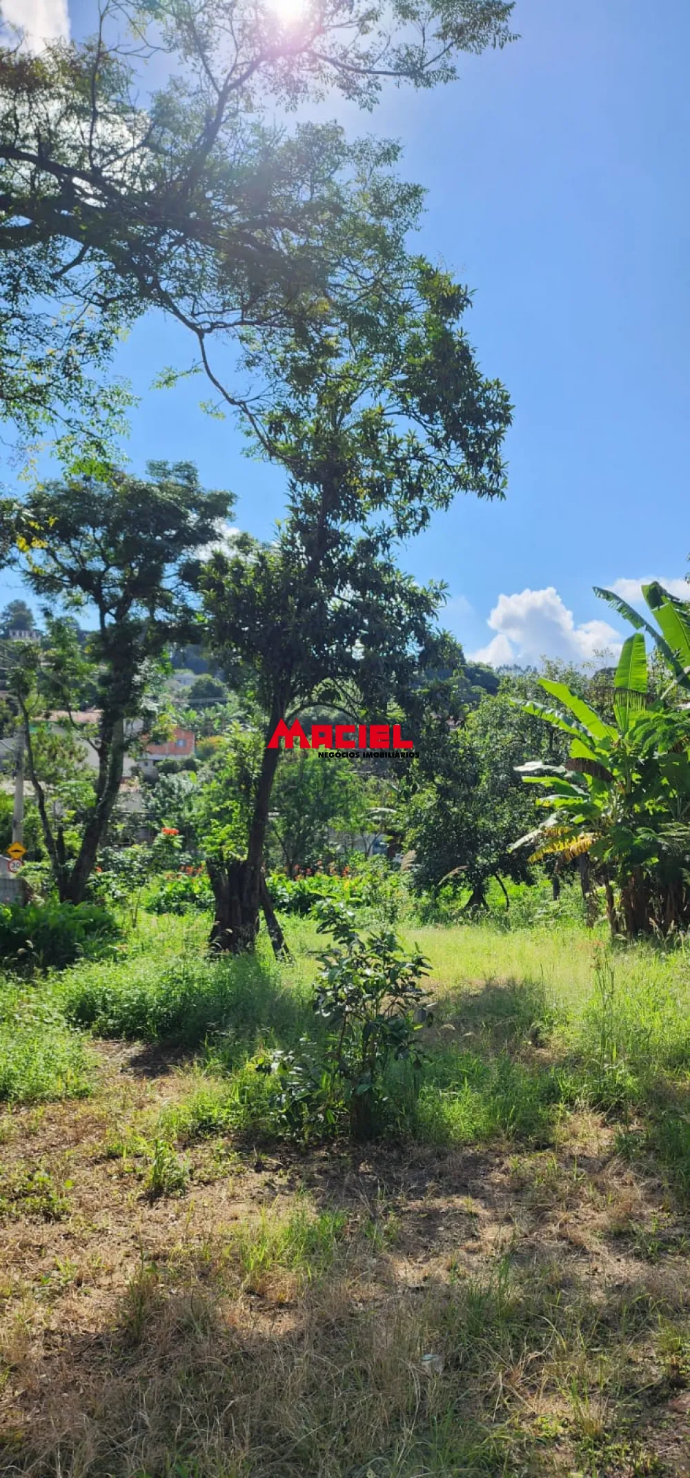 Comprar Casa / Padr&atilde;o em S&atilde;o Jos&eacute; dos Campos R$ 585.000,00 - Foto 3