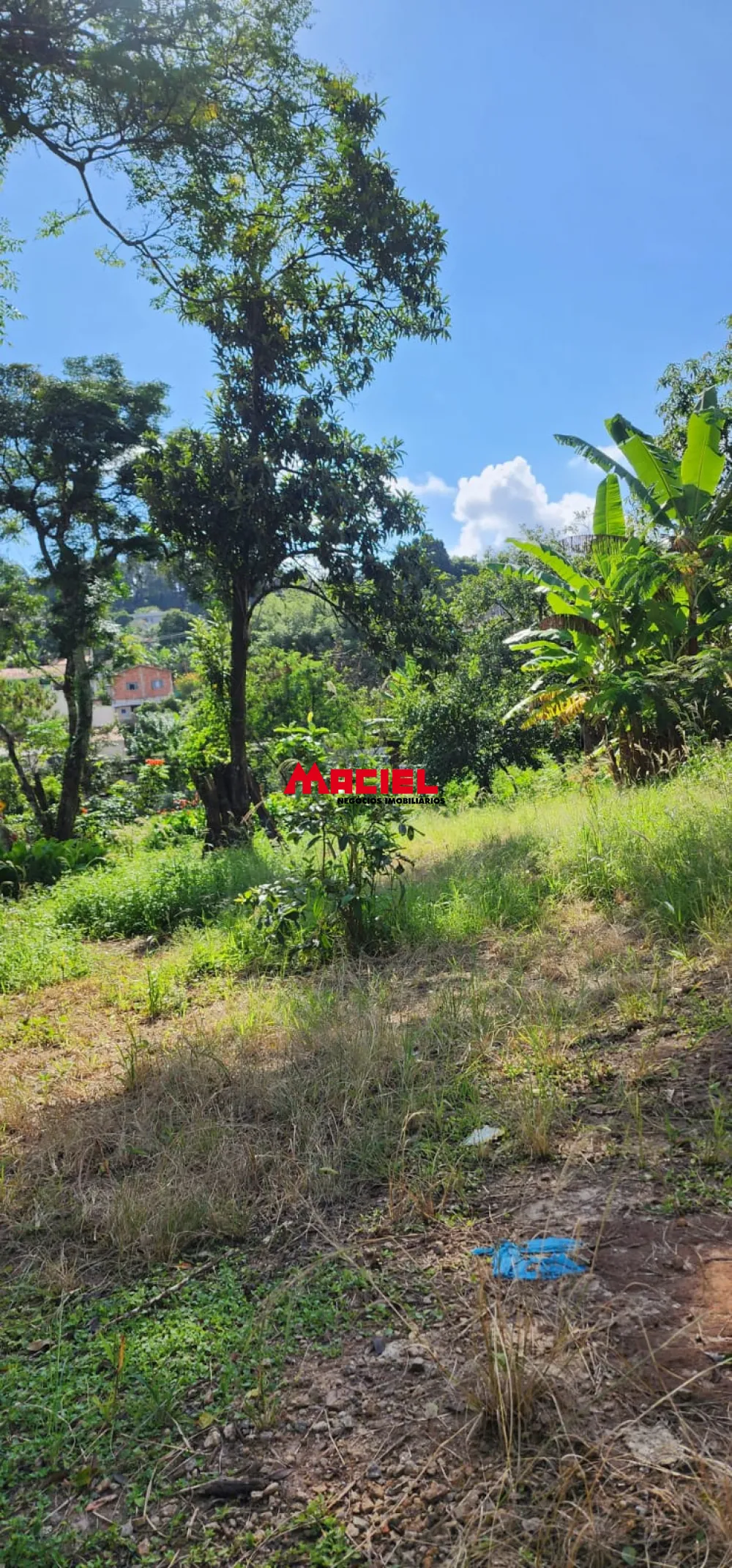 Comprar Casa / Padr&atilde;o em S&atilde;o Jos&eacute; dos Campos R$ 585.000,00 - Foto 4