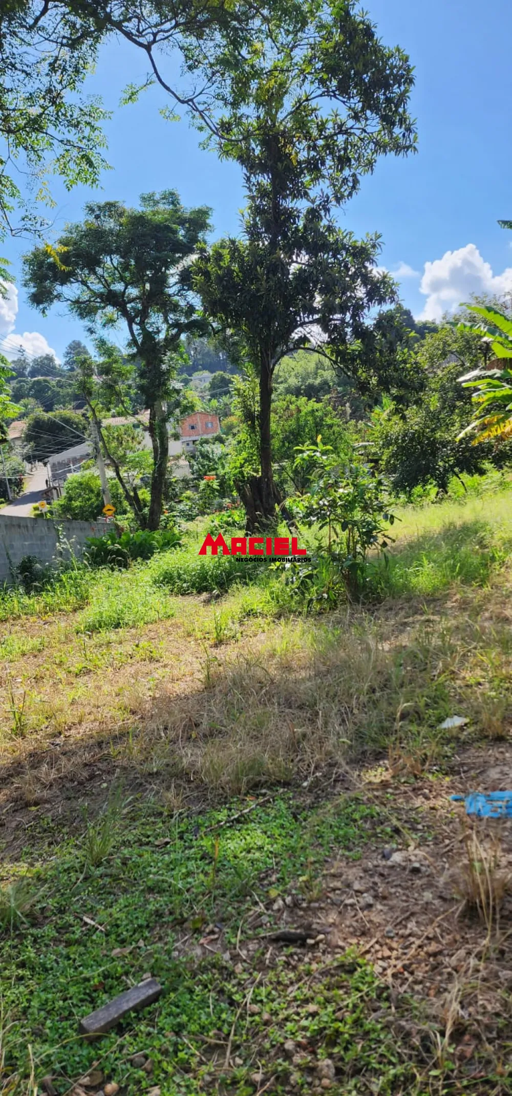 Comprar Casa / Padr&atilde;o em S&atilde;o Jos&eacute; dos Campos R$ 585.000,00 - Foto 5