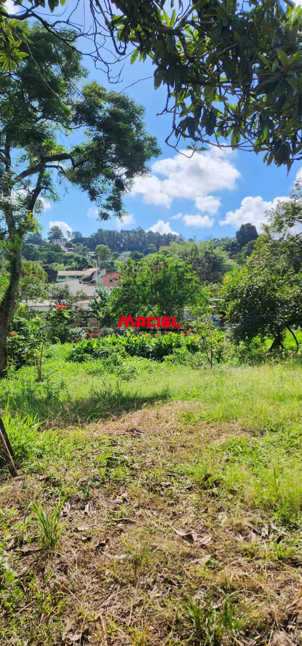 Comprar Casa / Padr&atilde;o em S&atilde;o Jos&eacute; dos Campos R$ 585.000,00 - Foto 8