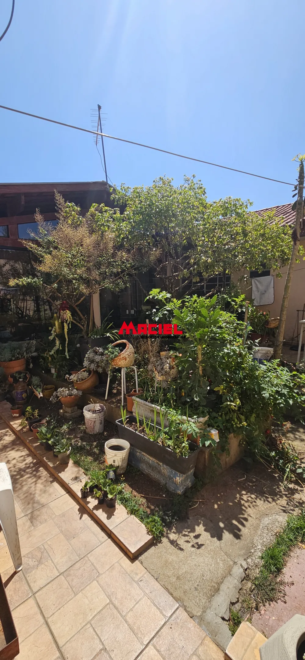 Comprar Casa / Padr&atilde;o em S&atilde;o Jos&eacute; dos Campos R$ 800.000,00 - Foto 16