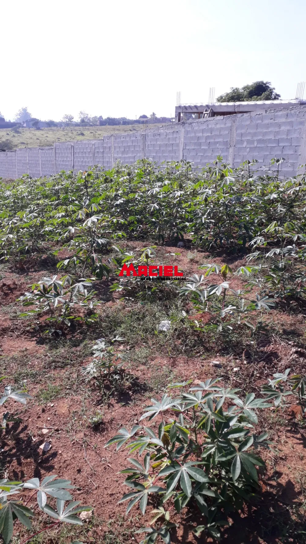 Comprar Terreno / Padr&atilde;o em S&atilde;o Jos&eacute; dos Campos R$ 350.000,00 - Foto 3