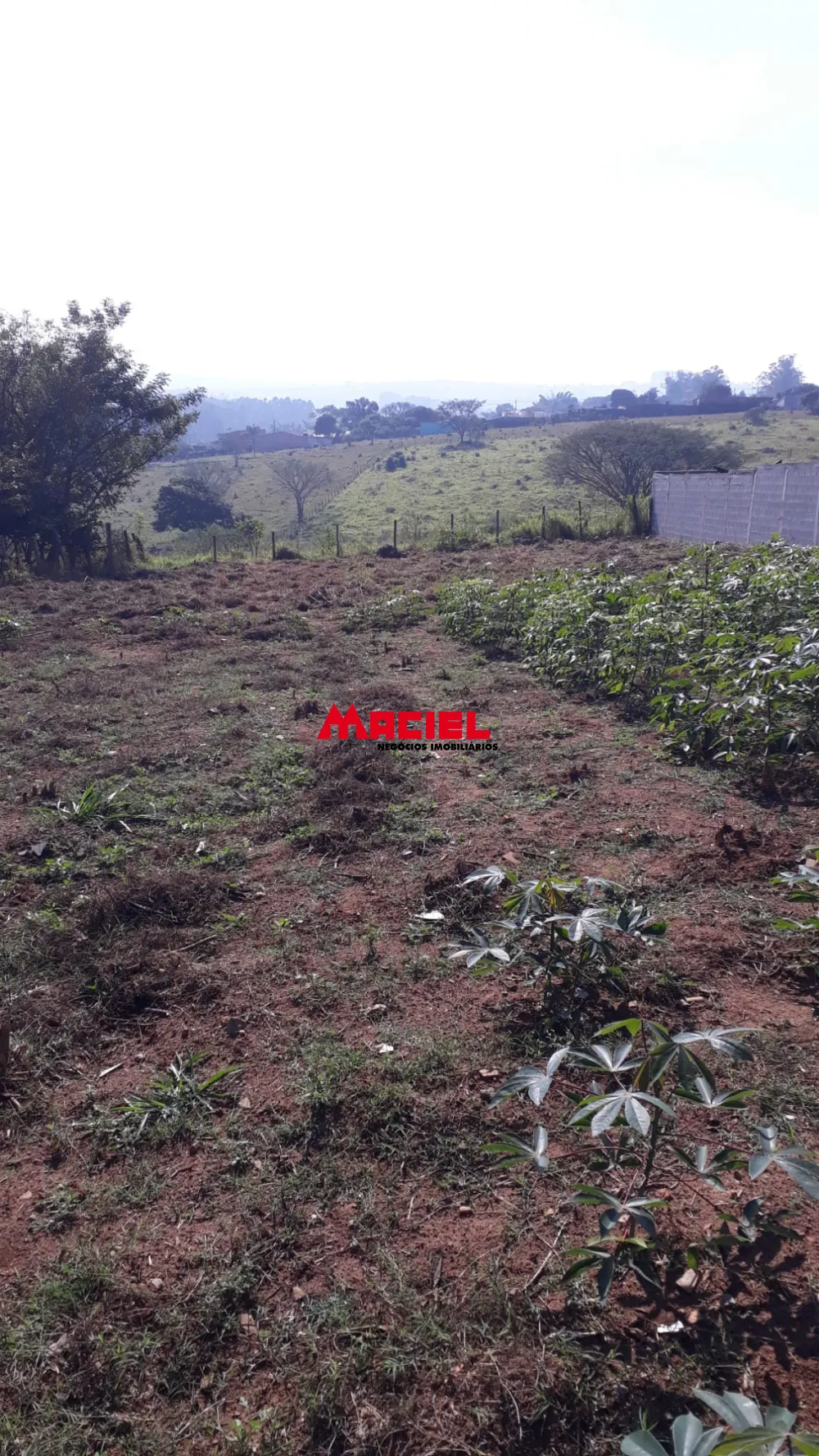 Comprar Terreno / Padr&atilde;o em S&atilde;o Jos&eacute; dos Campos R$ 350.000,00 - Foto 4