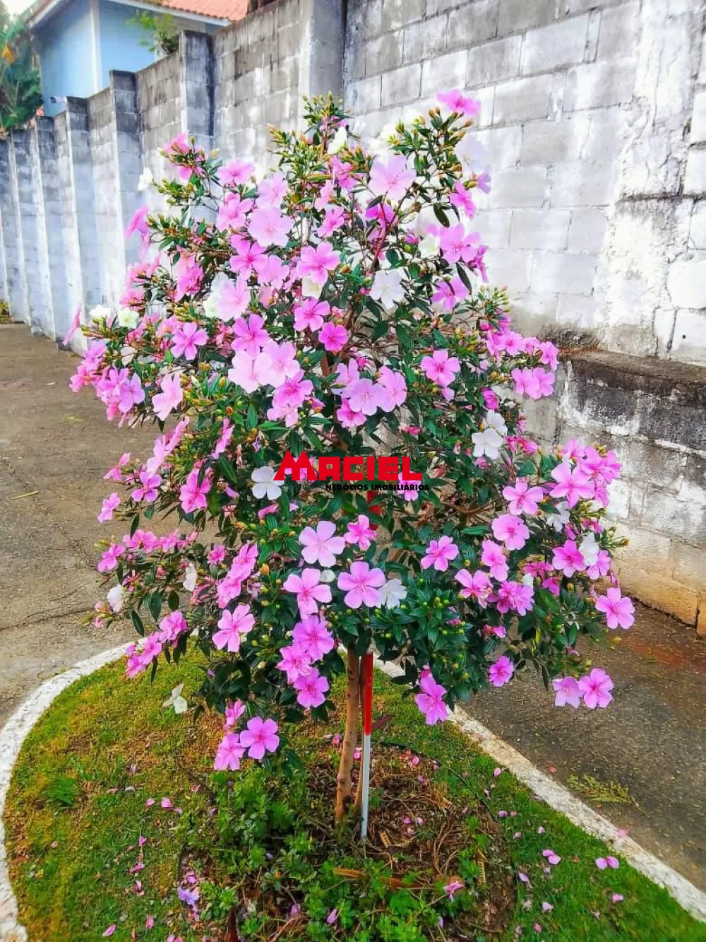 Comprar Casa / Condom&iacute;nio em S&atilde;o Jos&eacute; dos Campos R$ 404.000,00 - Foto 10