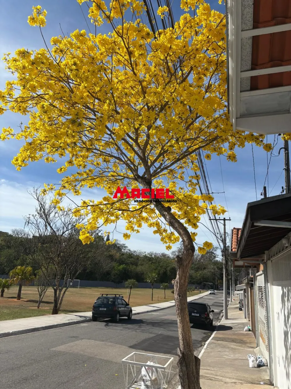 Comprar Casa / Condom&iacute;nio em S&atilde;o Jos&eacute; dos Campos R$ 404.000,00 - Foto 14