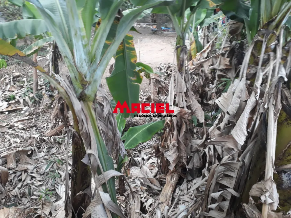 Comprar Terreno / Padr&atilde;o em S&atilde;o Jos&eacute; dos Campos R$ 380.000,00 - Foto 3