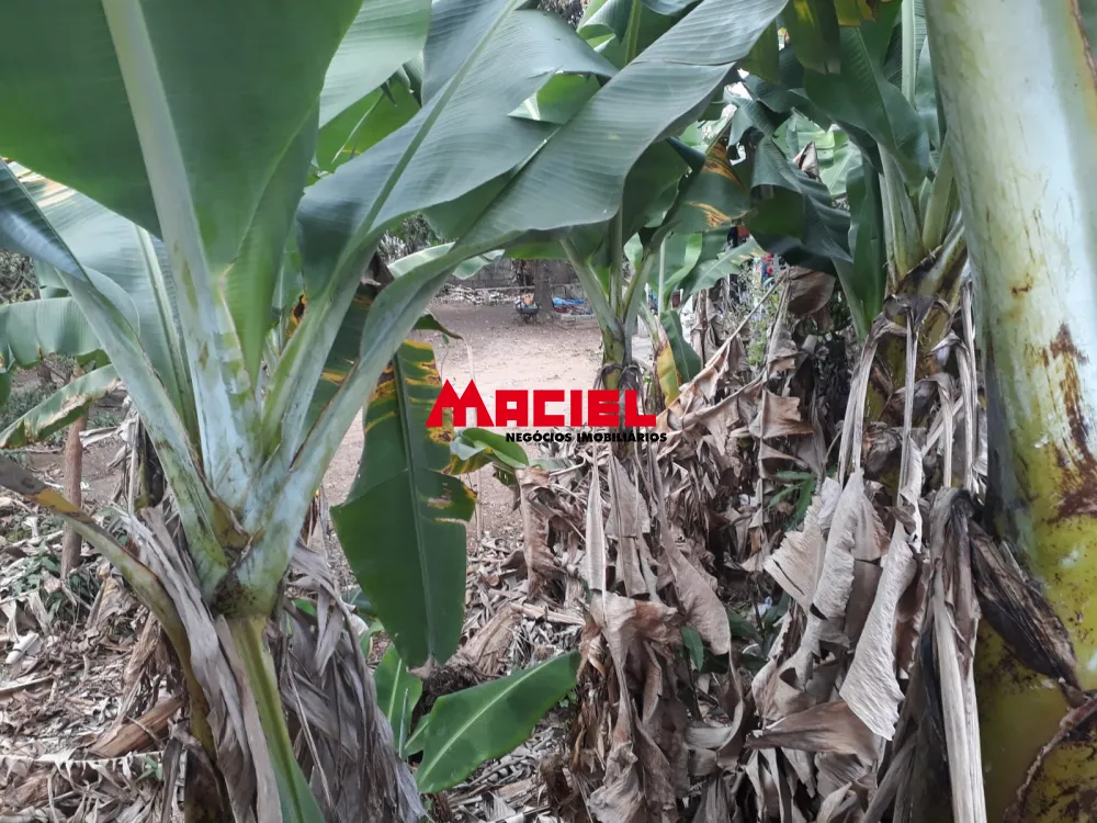 Comprar Terreno / Padr&atilde;o em S&atilde;o Jos&eacute; dos Campos R$ 380.000,00 - Foto 5