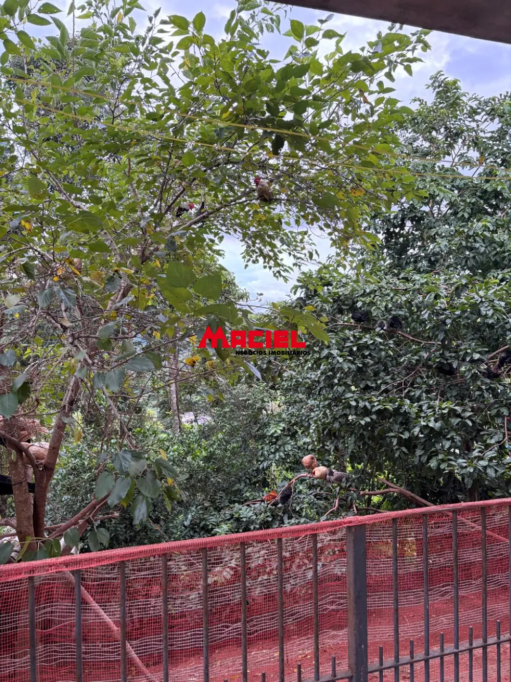 Comprar Casa / Sobrado em Paraibuna R$ 650.000,00 - Foto 26