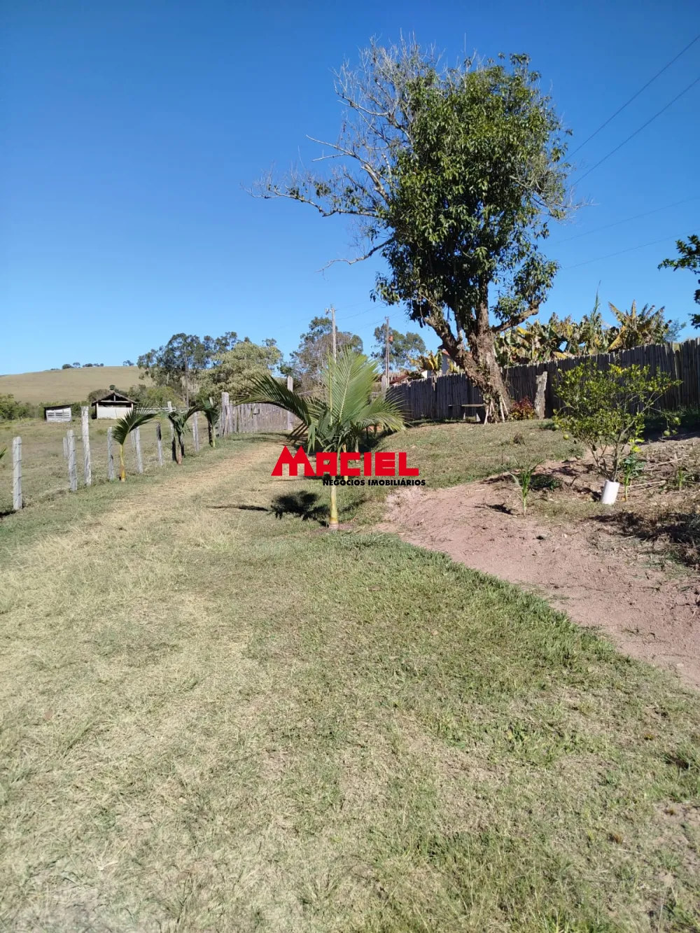 Comprar Rural / Fazenda, S&iacute;tio e Ch&aacute;cara em Braz&oacute;polis R$ 530.000,00 - Foto 1