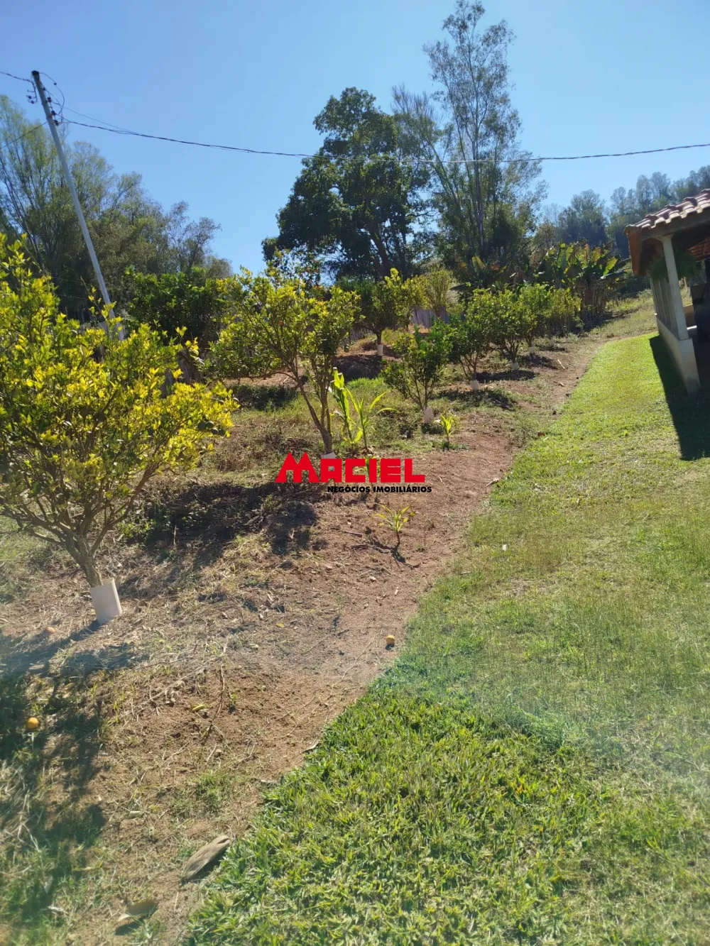 Comprar Rural / Fazenda, S&iacute;tio e Ch&aacute;cara em Braz&oacute;polis R$ 530.000,00 - Foto 2