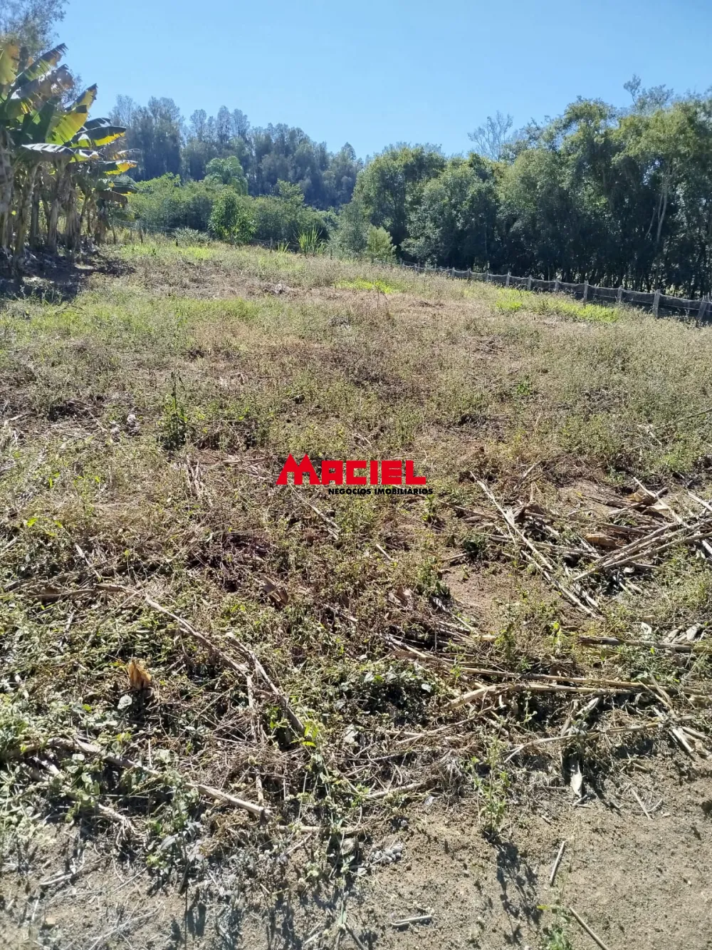Comprar Rural / Fazenda, S&iacute;tio e Ch&aacute;cara em Braz&oacute;polis R$ 530.000,00 - Foto 4
