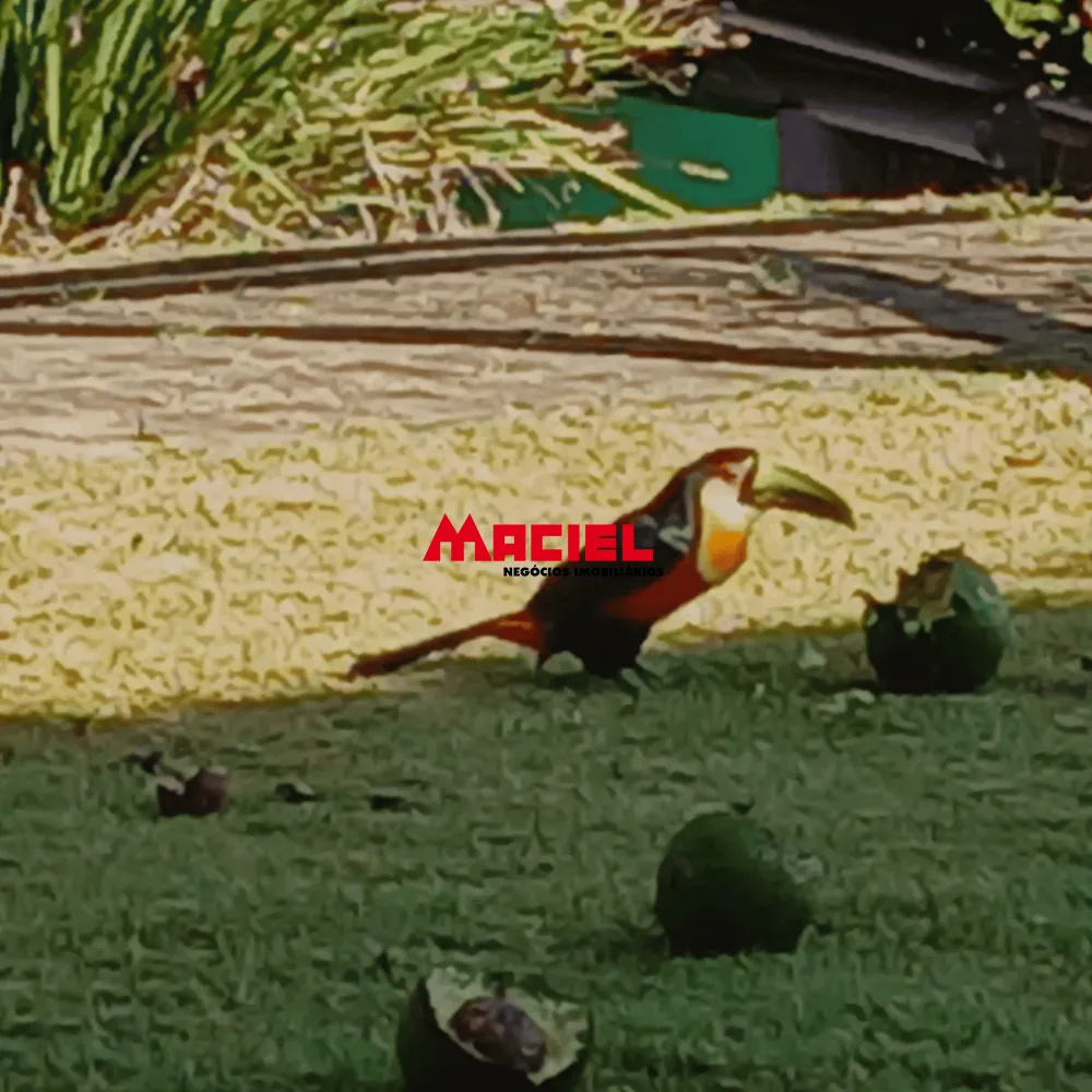 Comprar Casa / Condom&iacute;nio em Jambeiro R$ 2.450.000,00 - Foto 20