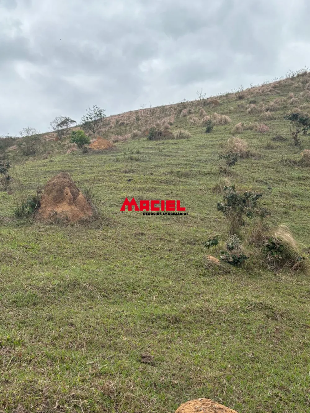 Comprar Terreno / &Aacute;rea em S&atilde;o Jos&eacute; dos Campos R$ 600.000,00 - Foto 10