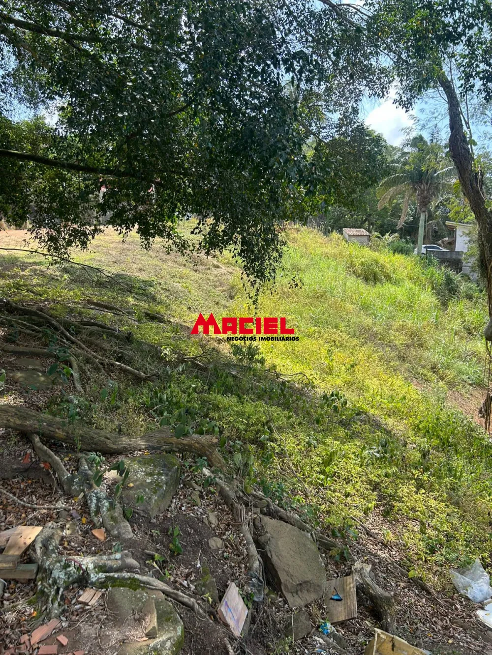 Comprar Terreno / Padr&atilde;o em Ilhabela R$ 420.000,00 - Foto 3