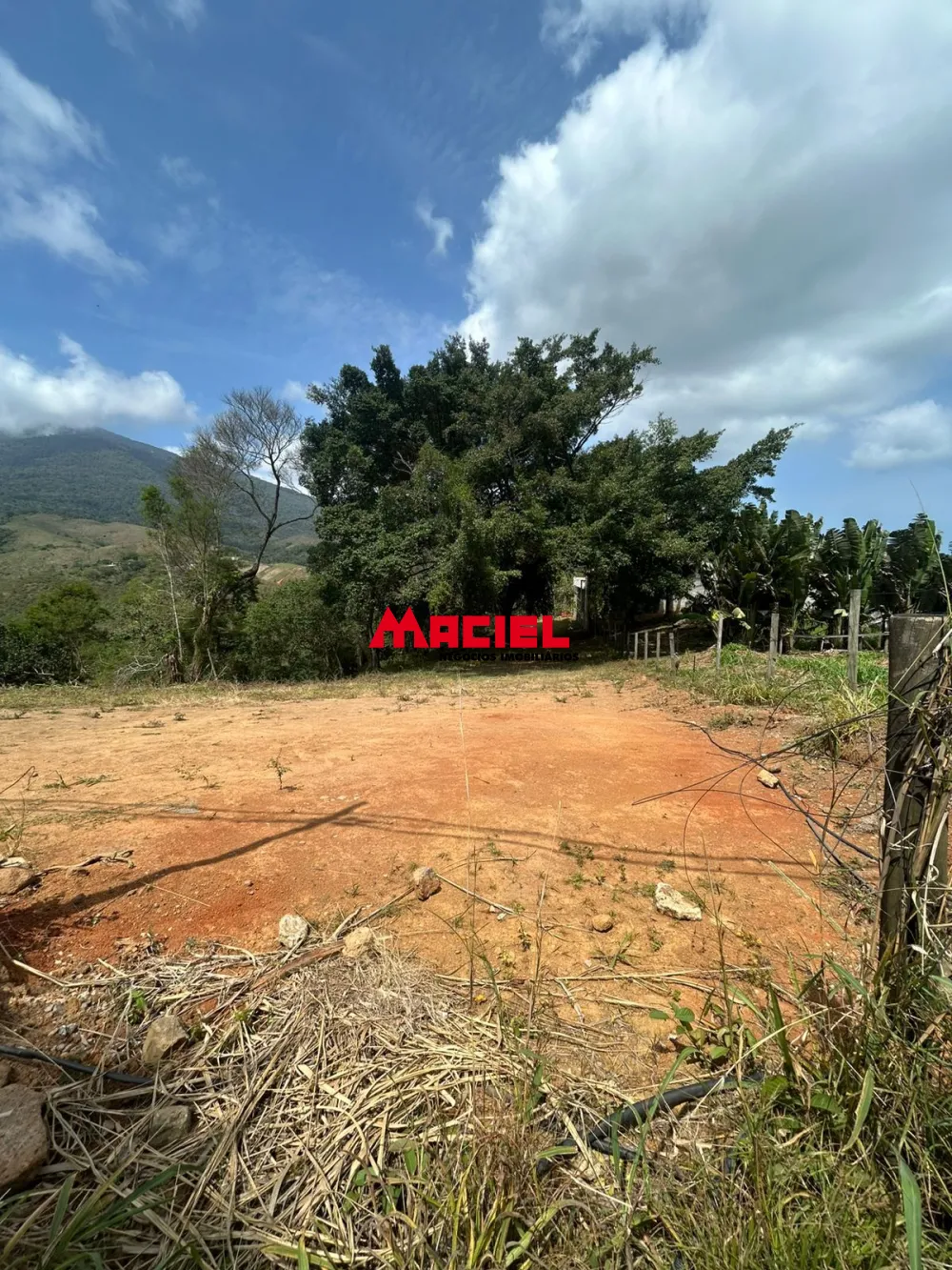 Comprar Terreno / Padr&atilde;o em Ilhabela R$ 550.000,00 - Foto 5