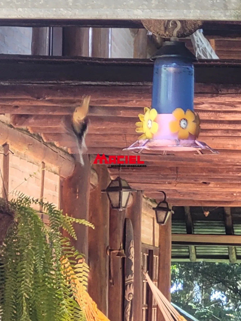 Comprar Rural / Ch&aacute;cara em S&atilde;o Jos&eacute; dos Campos R$ 1.650.000,00 - Foto 19