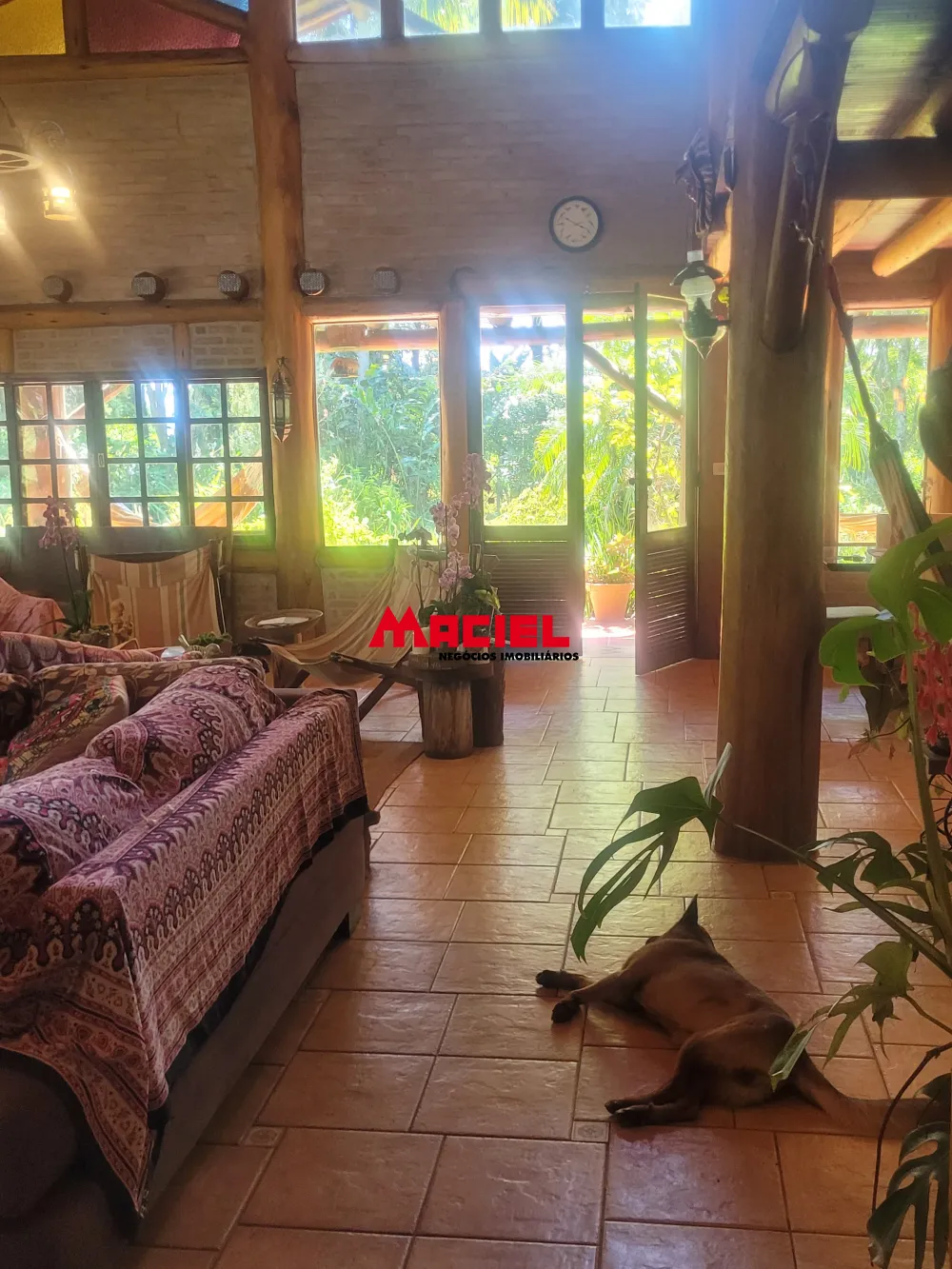 Comprar Rural / Ch&aacute;cara em S&atilde;o Jos&eacute; dos Campos R$ 1.650.000,00 - Foto 42