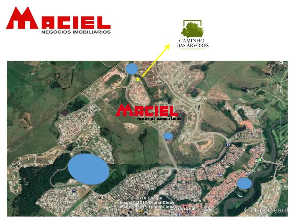 Alugar Apartamento / Padr&atilde;o em S&atilde;o Jos&eacute; dos Campos R$ 2.200,00 - Foto 7