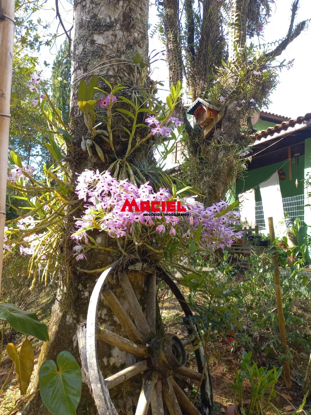 Comprar Rural / S&iacute;tio em Monteiro Lobato R$ 1.500.000,00 - Foto 12