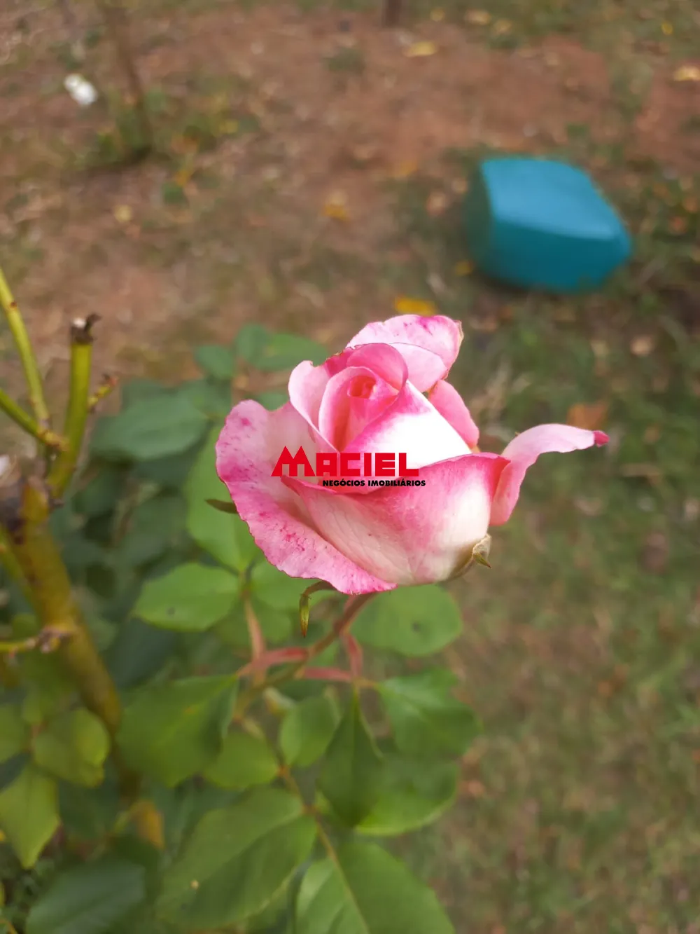 Comprar Rural / S&iacute;tio em Monteiro Lobato R$ 1.500.000,00 - Foto 13