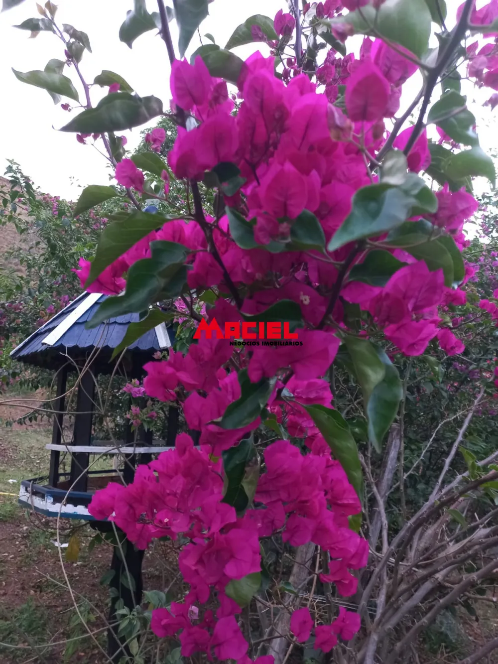 Comprar Rural / S&iacute;tio em Monteiro Lobato R$ 1.500.000,00 - Foto 20